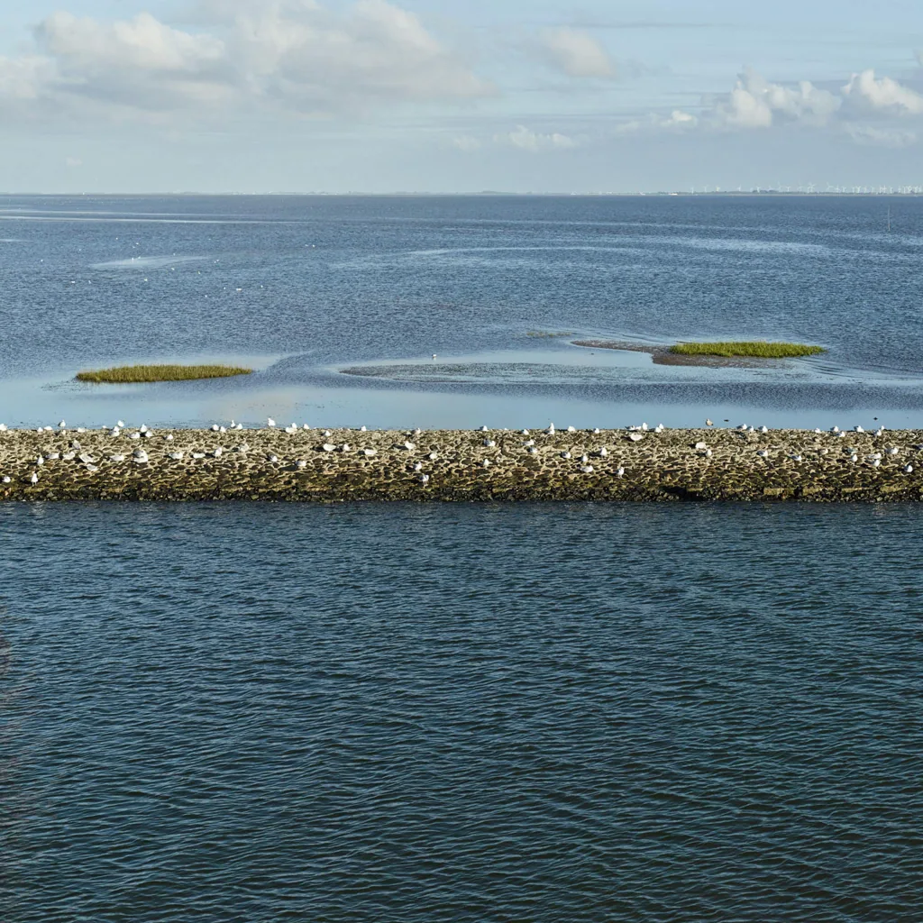 Baltrum