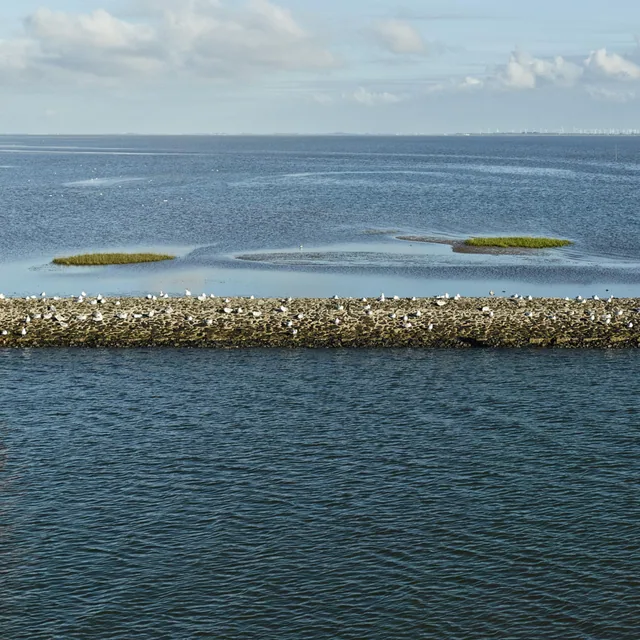 Baltrum