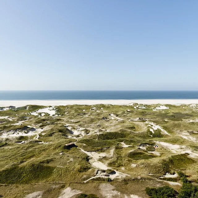 Nebel/Amrum
