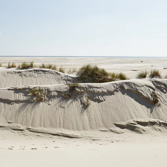 Süddorf/Amrum
