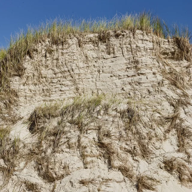 Süddorf/Amrum