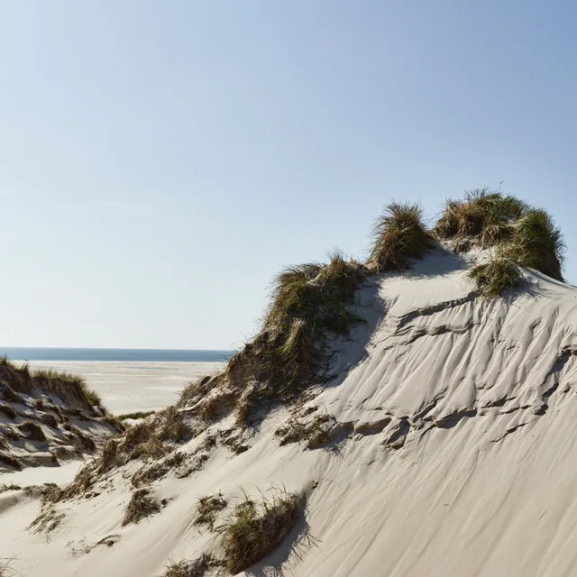 Süddorf/Amrum