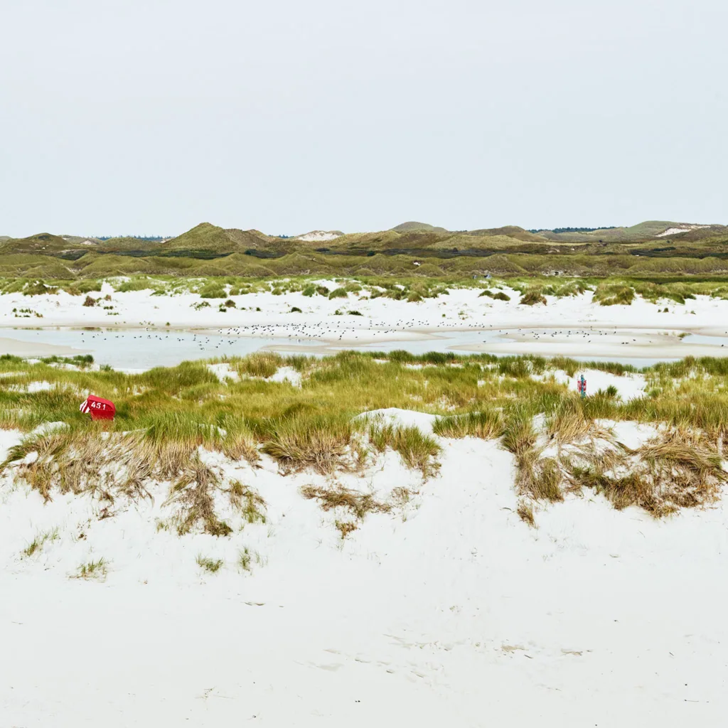 Nebel/Amrum