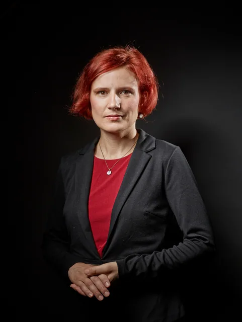 Katja Kipping, Die Linke