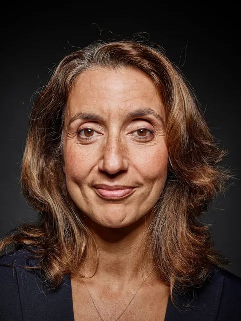 Aydan Özoğuz, SPD